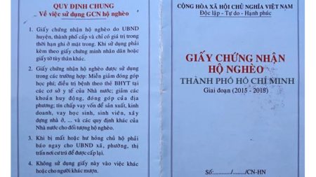 Nha khoa Việt Mỹ